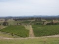 0102-1324 Milfield winery (1060846)